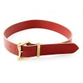  ONEPIECEOFROCK  BELT "REDROCK" [SUNSET]