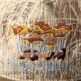 画像3: THE AMPAL CREATIVE CALIFORNIA " EXPLORE WONDERS" STRAPBACK -[KHAKI] S177