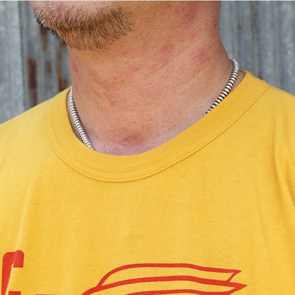 画像3: ダッパーズ　DAPPERS 半袖TEE Lot 1773 " CC HS62 "[MUSTARD] 