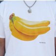 画像4: ジャクソンマティス　JACKSON  MATISSE   "FRUIT OF THE LOOM ×JM　FRUIT PACK TEE"[OFF] 