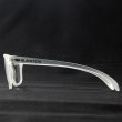 画像3: BLACK FLYS ブラックフライズ 　FRY READER　 "READING GLASSES"[F.CLEAR×CLEAR] (3)