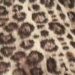 画像4: DAPPER’S　ダッパーズ　Cashmink Scarf by V.FRAAS LOT1738[TAUPE 【Leopard】]LOT1738 (4)