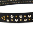 画像6: バイキング スタッズベルト BYKING STUDS BELT [BLACK]TYPE C (6)