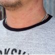 画像3: ウエアハウス 半袖TEE Lot 4059 リンガーTEE "CLARKSVILLE "[H.GRAY×BLACK]  (3)